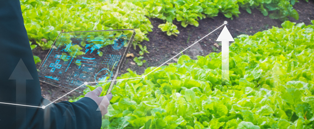 Agro sector
