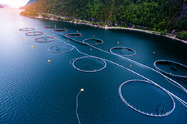 blue economy sector