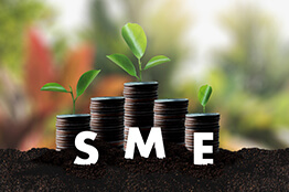 sme-scheme