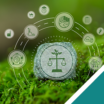 Environment Bill